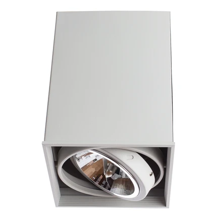 Точечный накладной светильник Arte Lamp CARDANI GRANDE A5936PL-1WH