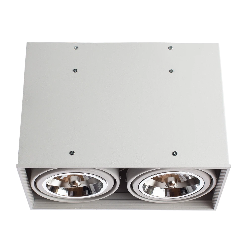 Точечный накладной светильник Arte Lamp CARDANI GRANDE A5936PL-2WH
