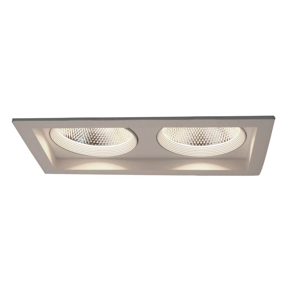 Точечный встраиваемый светильник Arte Lamp PRIVATO A7007PL-2WH