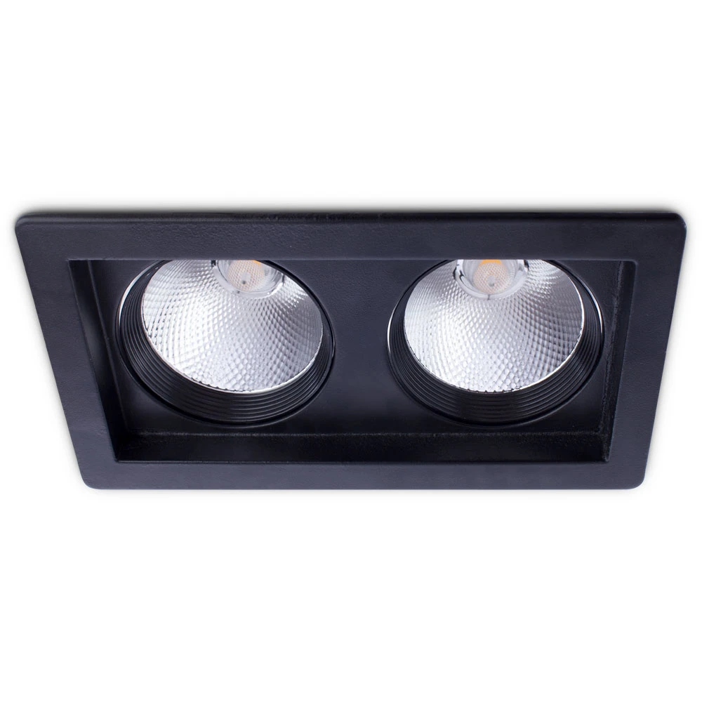 Точечный встраиваемый светильник Arte Lamp PRIVATO A7018PL-2BK
